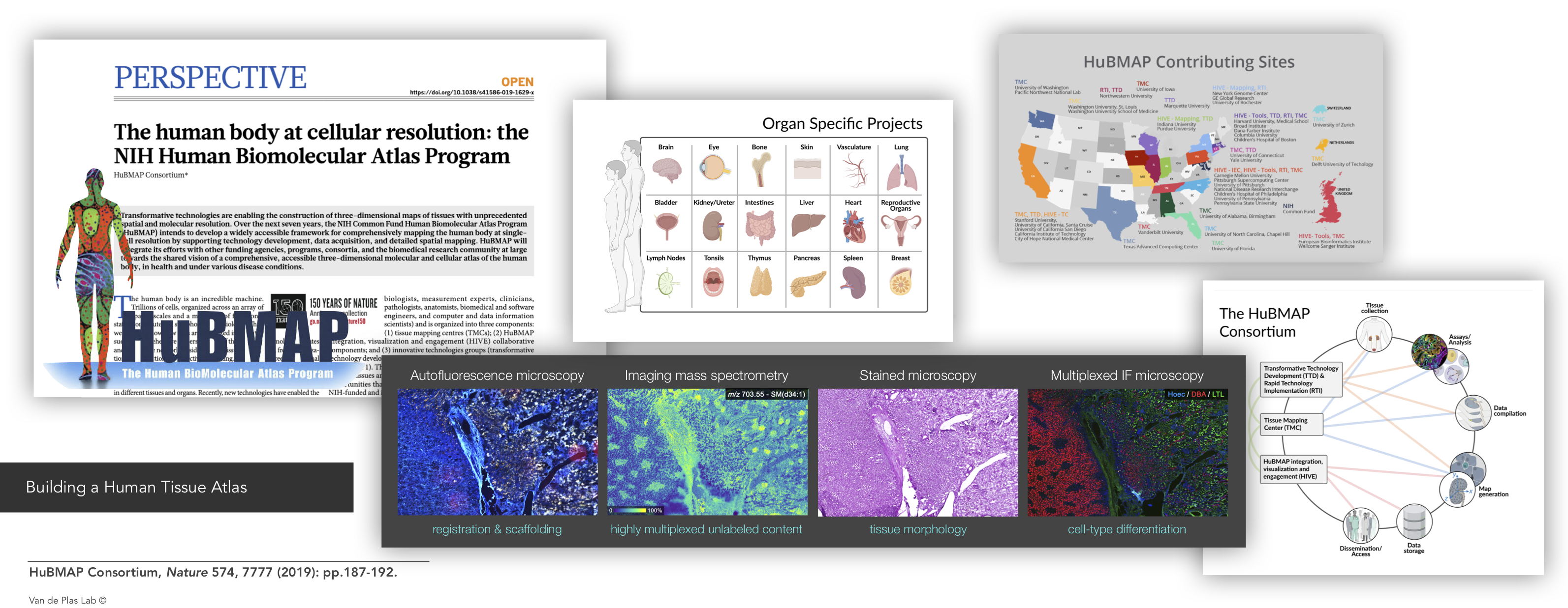 Building a Human Tissue Atlas: HuBMAP Consortium, Nature 574, 7777 (2019): pp.187-192.