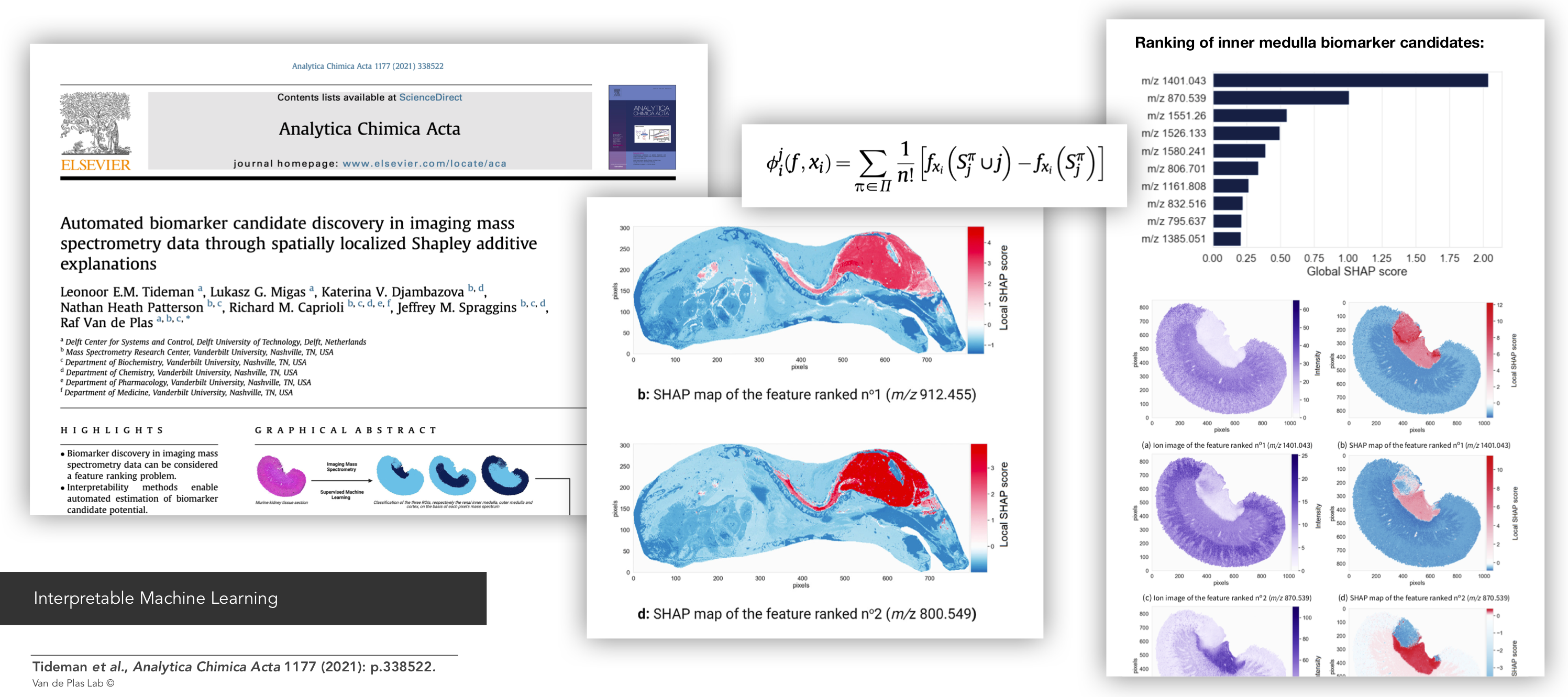 Example of Interpretable Machine Learning: Tideman et al., Analytica Chimica Acta 1177 (2021): p.338522.